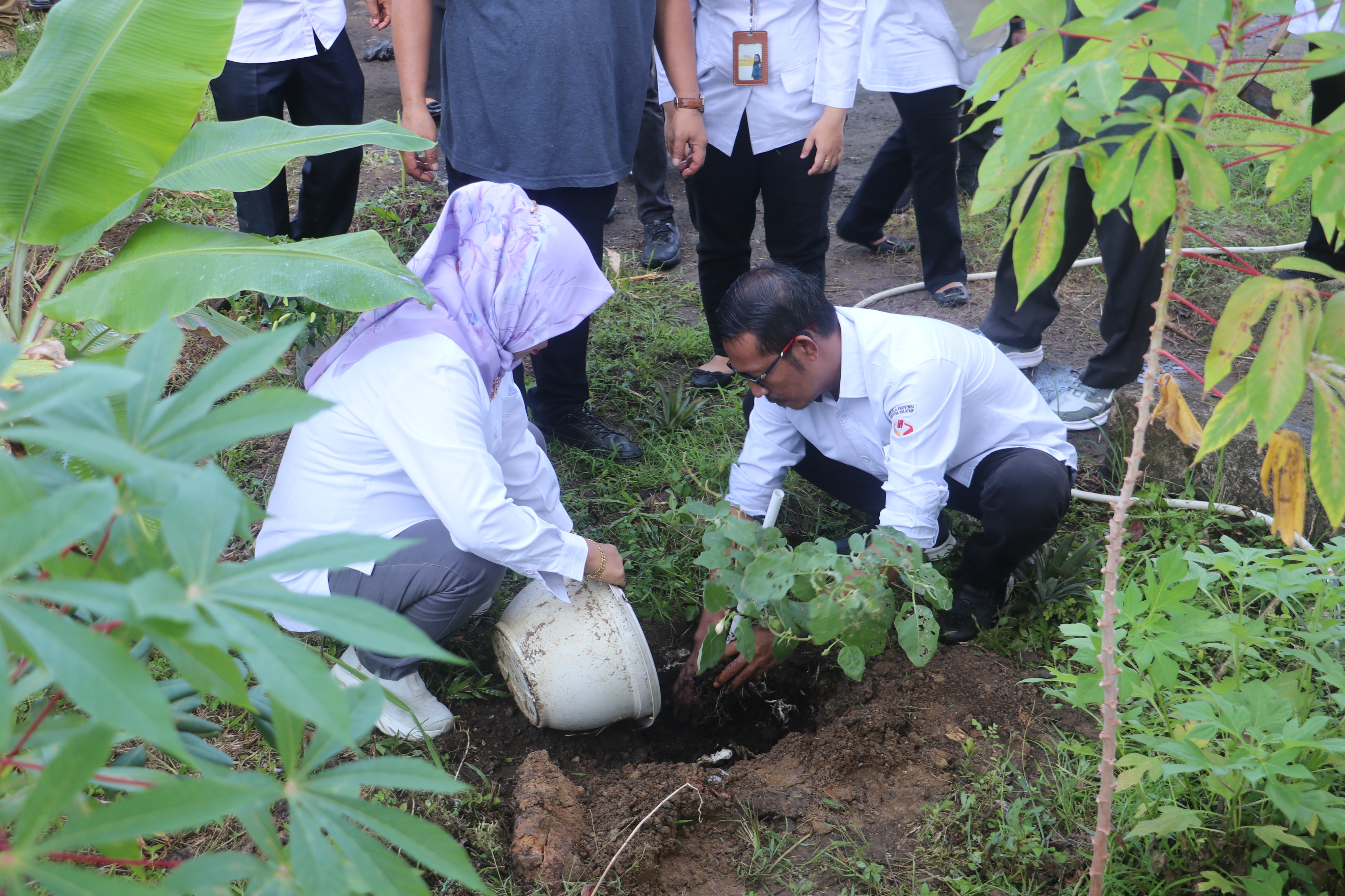 Pimpinan Bawaslu Provinsi Sumsel saat kegiatan Penanaman Buah dan Sayuran atau Tanaman Hortikultura di Lingkungan Sekretariat Bawaslu Provinsi Sumatera Selatan, Rabu (15/07/2026).